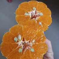 Ǯһĸӱ밲+1½ʲô