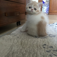 ֪�������ĳһ���뿪�ң�ȴ��֪��һ���������ô��