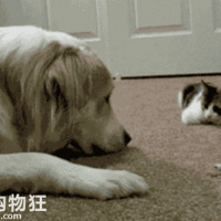 ���±��ӣ�������Ǿ�����������