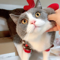 �þ�û�����ˣ�ɹһ�±�����