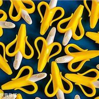 ������Щ��������������ʮ��