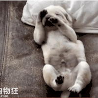 �����Ŵ�˯����������С�̹����ɰ�������
