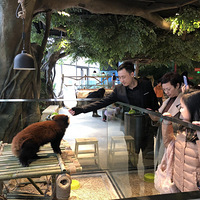 �ȿ��ȿɶ������⹫԰  �������� ˮ�� ��è  ��β���� ��������