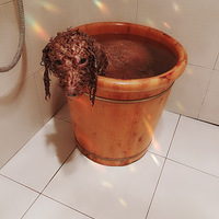 ���ȳ���´���Ϊ���κ����깷��Ƥ�����������඼����������
