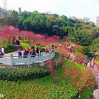 ����ȥ���ƺ�ϴϴ�Σ��ɷ����˽Ӽ�