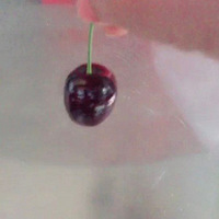 ²һųӶǮʲôʱ