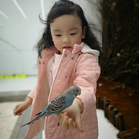 �ȿ��ȿ����ڶ���԰���������������һ��