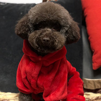 ���ȳ�����ڡ��Ҽҵ�èè����С����Щ��������