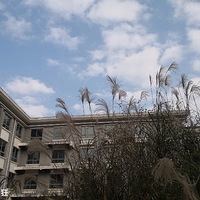 ��ȥ���ž���Ҳ�л��ּ��ڡ���ζ����