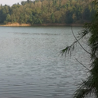 ԲԲ2019ϣǸԵ㣬һЯͬС