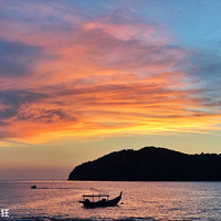 ���޶�ˢ����������ζ����