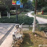 �о��������ߵ㹷�ĺ��ٰ�����