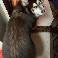 �˲��繷������ʵд��