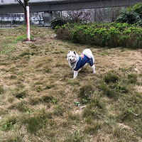 �山�ո۹㳡˭�ҵĹ����ߵ���