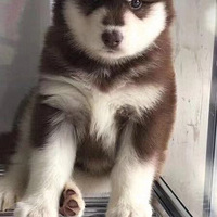 �᲻��