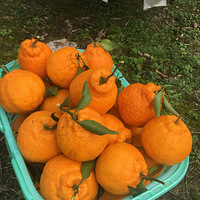 �Ҹ��޶���ˣ�£���һСʱ������ɽ��ժ��֪�𣬿�ӣ�һ���