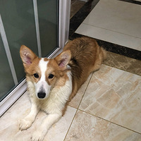 ����ʽ��衿���������ļ����λ���˲��繷ϵ��