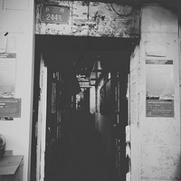 ǵö¥ǼҡëѪ𣿡ܱʳƼ