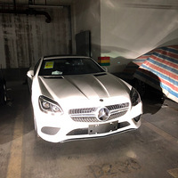 �͸����ŵ����"С�ס�����slc��2019���ռǡ�