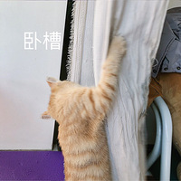 ����ʽ��衿+�����������㣬ֻ�Ƿ곡��Ϸ��ƭ���ʺ��