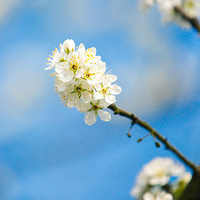 3�£����������������ȥ�ͻ���̤��ȥ��