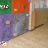 ���꺢�ӳԷ���ͻȻ����...���ַ���ÿλ�ҳ���Ҫ���գ�