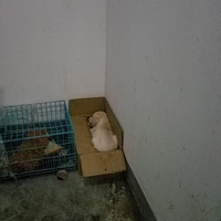 �����������ռǡ�+�¸ҵĶ���һ��Ҫͦס����