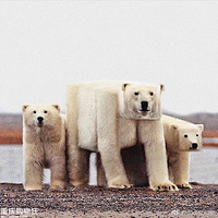 ������ﶼ�䷽���㻹��ϲ��������