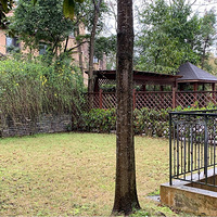 ��������������ſ�