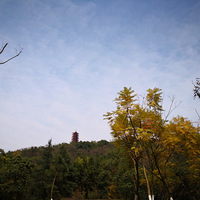 ��ĸɽ�������Ҹ��㳡�����ֹ�԰��������̤��ȥ��