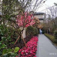 ���󷿱������αؼ��߲㡣�ܼ�160����ı�������ֵ��ӵ��