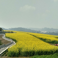 ũ��Ժ���Ͳ˻�+��̤��ȥ��