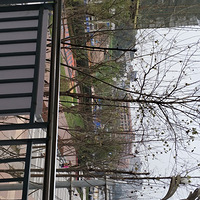 �ʺ��������