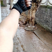 غһ£λעⱣůŶҾͿߣů[e