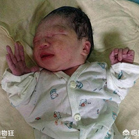 ���������ı������ж��Ҫ�������ۿ��ű��������������ɱ�����