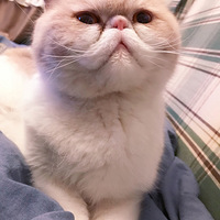 �ҿɰ���momo