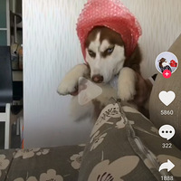 �����տ����ļ����ĳ����