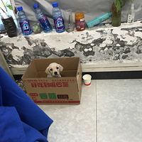 �ȸ�������Ĵ���