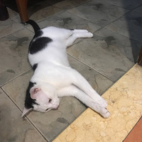 �����ܺ��ӣ���Ц���á�