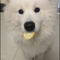 ˵˵�������ô���������