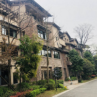 ���������������˵�г����ܶȻ����ߵ�