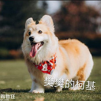 ��ů����������һ����