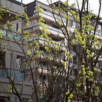 ������ͥδ�깤ʵ��ͼ��֮ǰ�ĺ��ӣ����������˹�