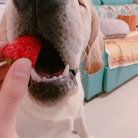 ��һ��С����