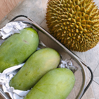 ľľ԰ԳԱ棡Խϡèɽʹâ̫