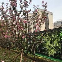 �̵غ���̲�󷿽ӷ�����Ԥ������