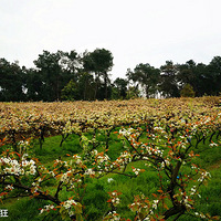 ��ů�������ƹ�ɽ���滨ȥ+��̤��ȥ��