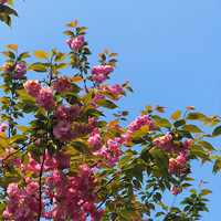 �滨����������������Ѱ������ǡ�̤��ȥ��