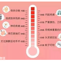 ���Ұ�����̥10�£�ȴ���ڲ���1�ܡ�