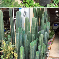 2019���һ���ر�ϲ���ĵط�
